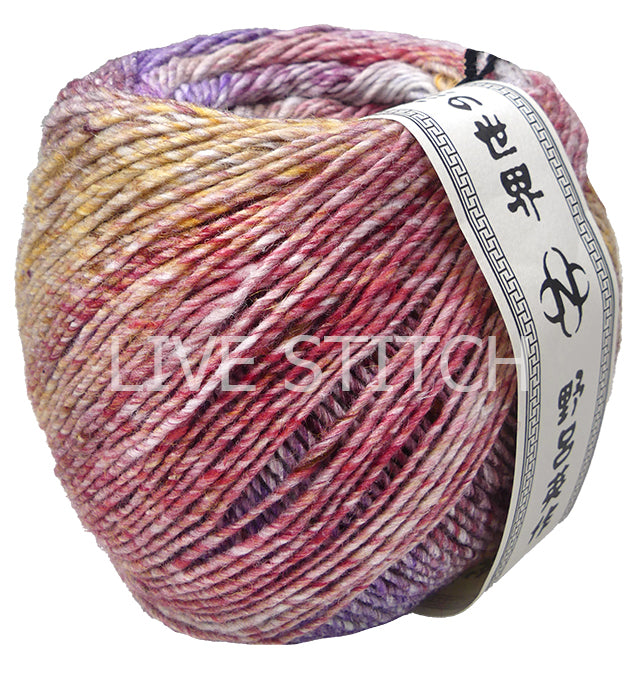 Noro Akari - Akitakata (Color