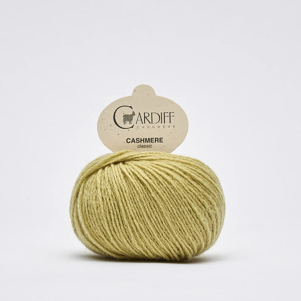 Cardiff CLASSIC 721 Apple knitting and crochet yarn on sale at Live Stitch