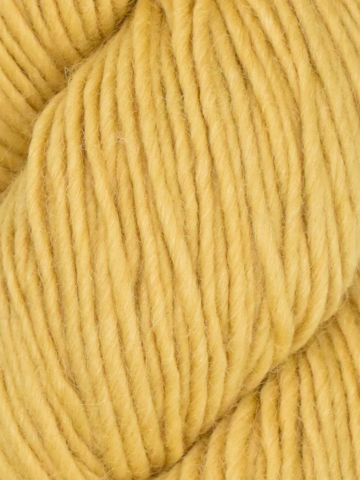 Juniper Moon Farm Moonshine - Trumpet (Color 