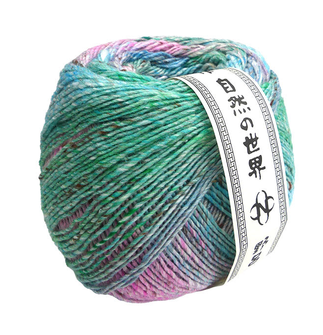 Noro Akari - Numata (Color 