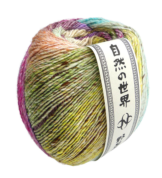 Noro Akari - Takasaki (Color 
